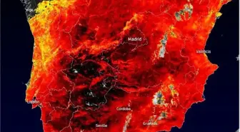 İspanya'da Aşırı Sıcak Hava Dalgası: Sıcaklık 43 Dereceye Ulaştı