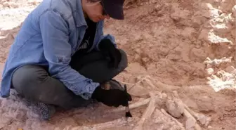 Kocasinan'da 7,5 Milyon Yıllık Zürafa Fosili Bulundu