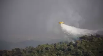 Muğla'da Orman Yangını Kontrol Altına Alınmaya Çalışılıyor