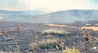 Mustafakemalpaşa'da Buğday Tarlasında Yangın