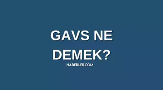 Gavs ne demek? Gavs nedir? Gavs ne anlama gelir?