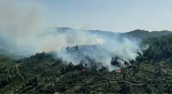 Balıkesir Dursunbey'de Orman Yangını