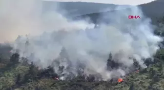 Balıkesir Dursunbey'de Orman Yangını