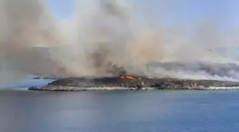 İzmir Urla'da çıkan yangına havadan ve karadan müdahale başlatıldı