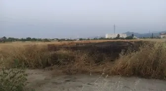 Seydişehir'de Arpa Tarlasında Yangın: 2 Dönüm Alan Zarar Gördü