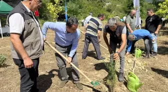 Sinop'ta 15 Temmuz şehitleri anısına fidan dikimi gerçekleştirildi