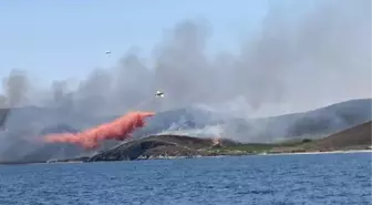 Avşa Adası'nda Yangın Kontrol Altına Alındı