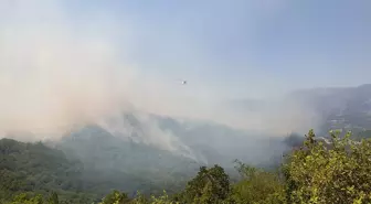 Osmaniye'deki Orman Yangınına Havadan ve Karadan Müdahale Sürüyor