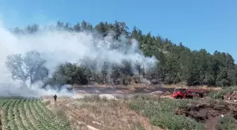 Bolu Göynük'te Orman Yangını