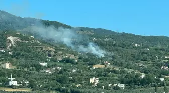 Düziçi ilçesinde çıkan orman yangını müdahaleyle söndürülmeye çalışılıyor