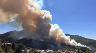 Hatay Belen'de orman yangını nasıl çıktı? Hatay orman yangını söndürüldü mü?