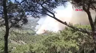 Hatay Belen'deki Ormanda Yangın Çıktı
