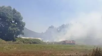 Manavgat'ta çıkan yangın kontrol altına alındı