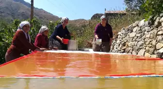 Erzincan'ın Kemaliye ilçesinde kadınlar imece usulü pestil ve pekmez yapıyor