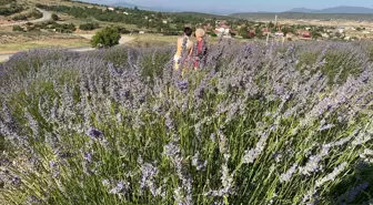 Isparta'da düzenlenen lavanta festivali 100 bin turisti ağırladı