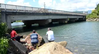 Ordu'da kaybolan kadını arama çalışmaları devam ediyor