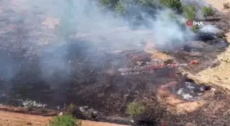 Ormana sıçrayan yangın 3 saatte kontrol altına alındı