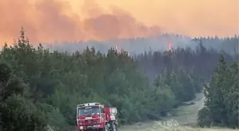 Tekirdağ'da Orman Yangınına Müdahale Sürüyor