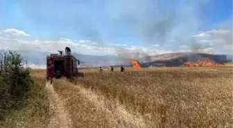 Tokat'ta Yangın Sonucu 50 Dönümlük Buğday Tarlası Kül Oldu