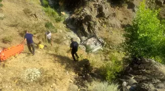 Tunceli'de araç şarampole devrildi, 2 kişi yaralandı