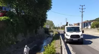 Karadeniz Ereğli'de Dere Yataklarında İlaçlama Çalışması