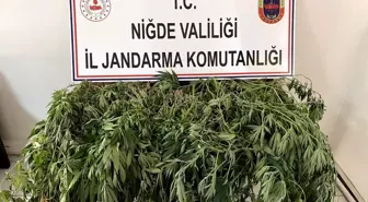 Niğde'de uyuşturucu operasyonunda 6 şüpheli gözaltına alındı