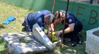 Sancaktepe'de kuyuya düşen kedi itfaiye ekiplerince kurtarıldı