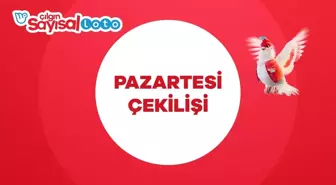 Sayısal Loto nereye çıktı? Sayısal Loto sahibi belli oldu mu, kim oldu, büyük ikramiye ne kadar?