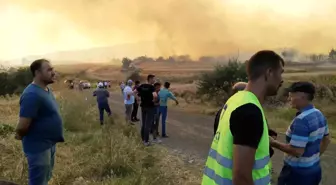 Tekirdağ Malkara'da çıkan orman yangını kontrol altına alındı