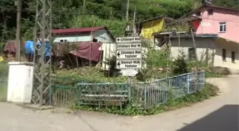 Trabzon'da şaşırtan tabela