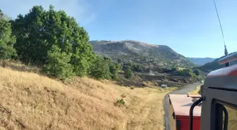 Tunceli'de ormanlık alanda çıkan yangın söndürüldü