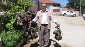 Yozgatlı çiftçi 250 tongurdak koleksiyonu oluşturdu