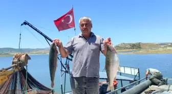 Yozgat'ta Türk Somonu Üretimi Avrupa'ya İhraç Ediliyor