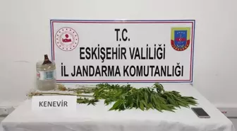 Eskişehir'de Mezarlıkta Hint Keneviri Eken Zanlı Gözaltına Alındı