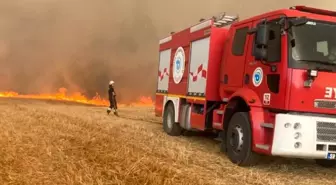 Tekirdağ'da 40 Dönüm Ekili Buğday Yangında Kül Oldu