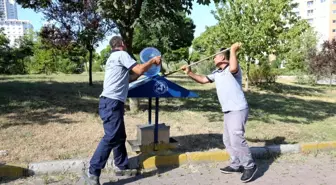 Küçükçekmece Belediyesi Sokak Hayvanlarına Destek Oluyor