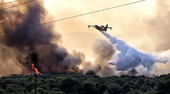 Yunanistan'da orman yangınları devam ediyor