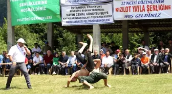 Ordulu Mustafa Pehlivan Yağlı Güreş ve Kültür Festivali Başladı