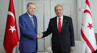 Cumhurbaşkanı Erdoğan, Tatar ile görüştü