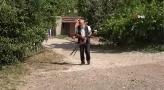 Kurumuş ağaç dallarını ve köklerini sanat eserine dönüştürüyor