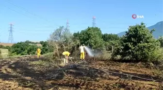 Tarla yangını büyümeden söndürüldü