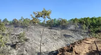 Tunceli'nin Nazımiye ilçesinde çıkan yangın kontrol altına alındı