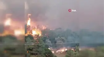 Yunanistan orman yangınlarıyla mücadele ediyor