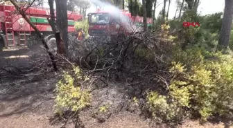 Antalya'da çıkan orman yangını kısa sürede söndürüldü