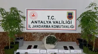 Antalya Kemer'de Uyuşturucu Operasyonu: 17 Şüpheli Gözaltına Alındı