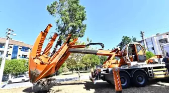 İzmir Buca Metrosunda Ağaç Koruma Çalışmaları Hızlandırıldı