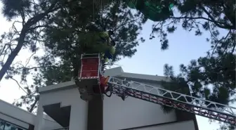 Marmaris'te Deniz Paraşütü Kazası