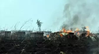 Edirne'de Biçilmiş Buğday Tarlasında Yangın: Arı Kovanları ve Saman Balyaları Yandı
