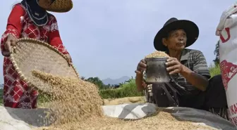 Endonezya Hükümeti El Nino İçin Gıda Hazırlığı Yapıyor