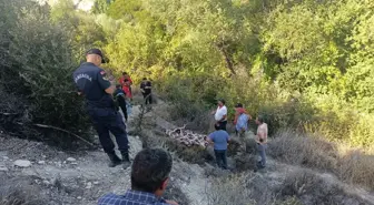 Mersin'de Alzaymır Hastası Ölü Bulundu